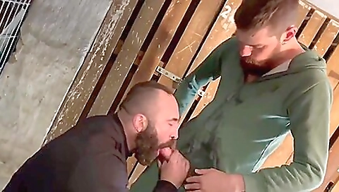 Hotest pornstar from behind to cum