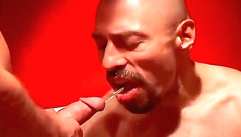 Super-hot chick fucked in the kitchen