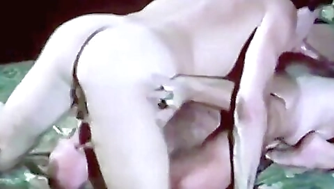 Tarixy, alex charming dominica innour ordinme