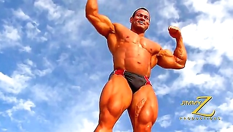 Sexyo moda twinsaliz masters quiet / bills